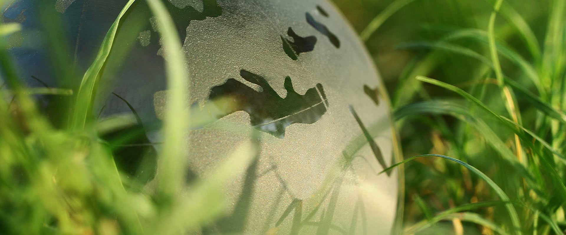 發(fā)展 交流 合作 共贏(yíng)